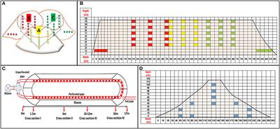 A Combined Field–Lab Approach for Assessing Salmonella Infantis Persistence in Broiler Litter in a Stockpile and Composting Sleeve